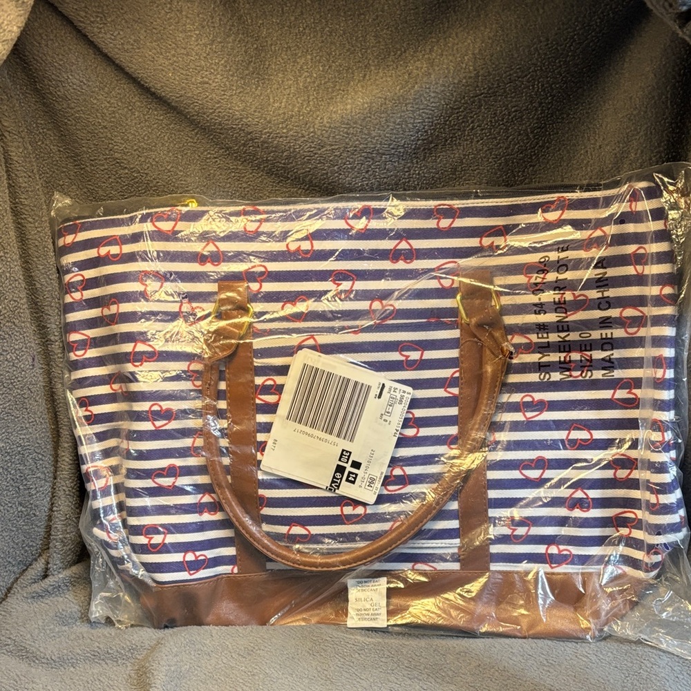 Woman Within Blue and Brown Striped Tote Bag